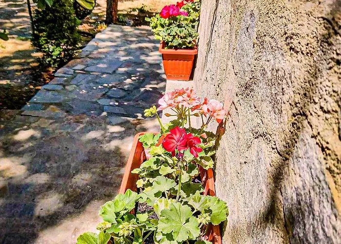 Casa Di Mare - Sauna & Jacuzzi וילה *